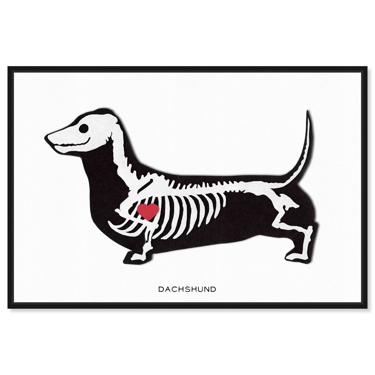 HiDef Art Glass ジャックラッセルテリア Oliver Gal Dachshund Xray | Wall Art by Oliver Gal