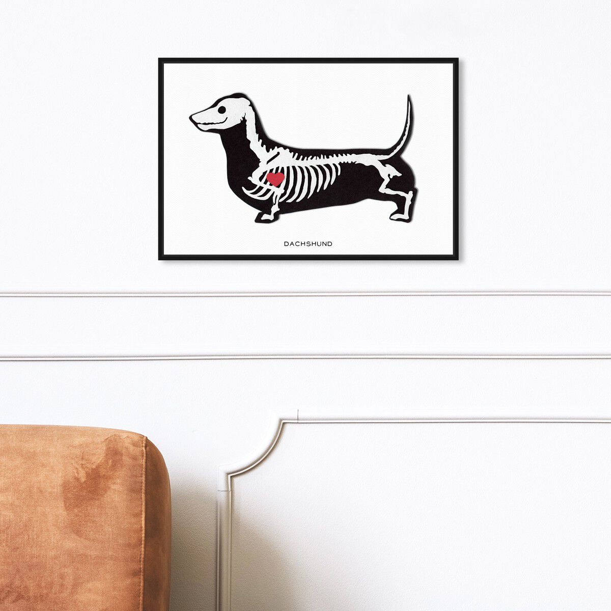 Dachshund Xray | Wall Art by Oliver Gal