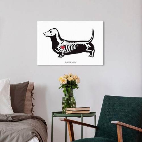 Oliver Gal Fancy Doxieキャンバスアート 51x51cm Dachshund Xray | Wall Art by Oliver Gal