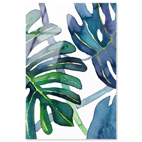 Ferns
