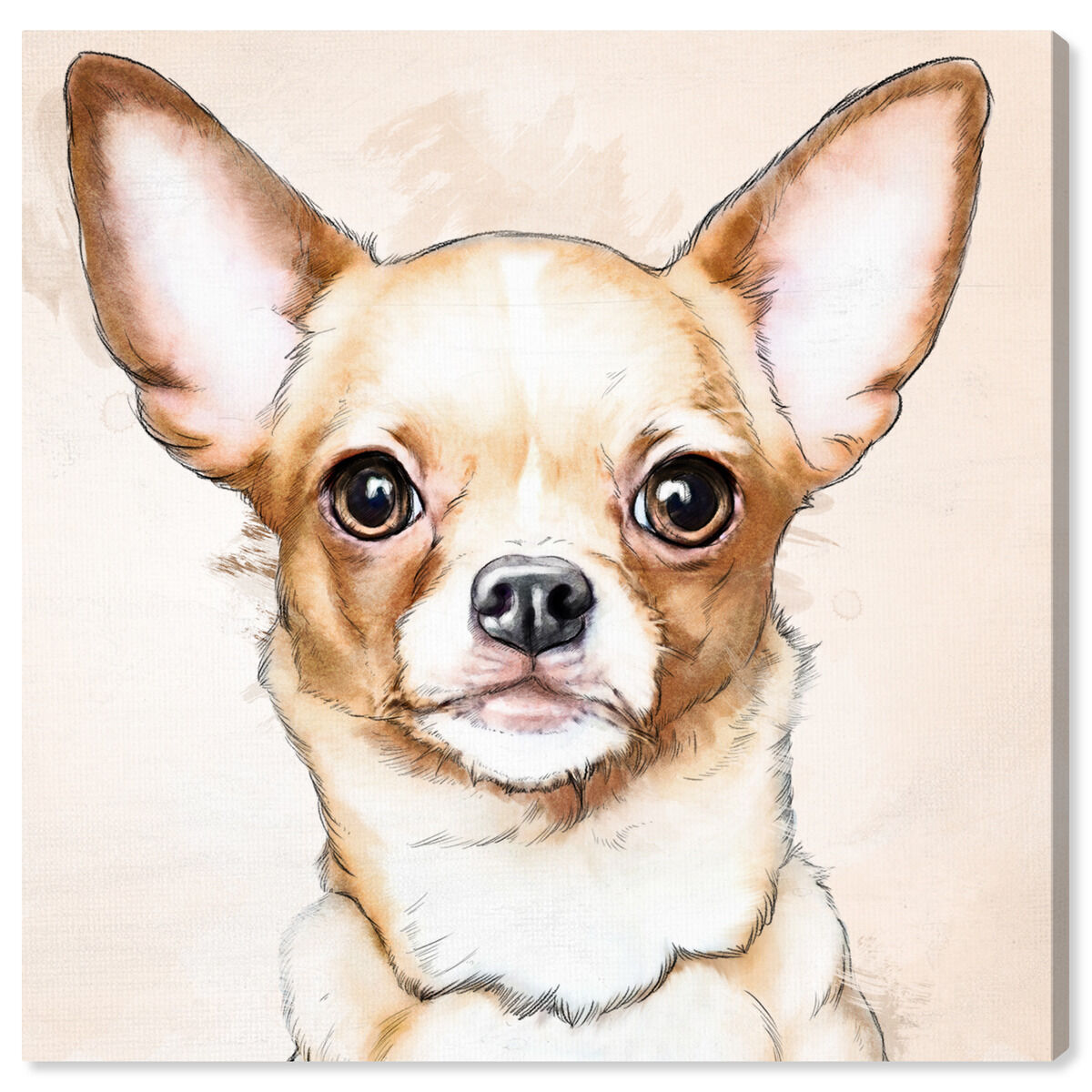 新品 オリバーガル ORANGE CHIC CHIHUAHUA Chihuahua Watercolor | By Oliver Gal