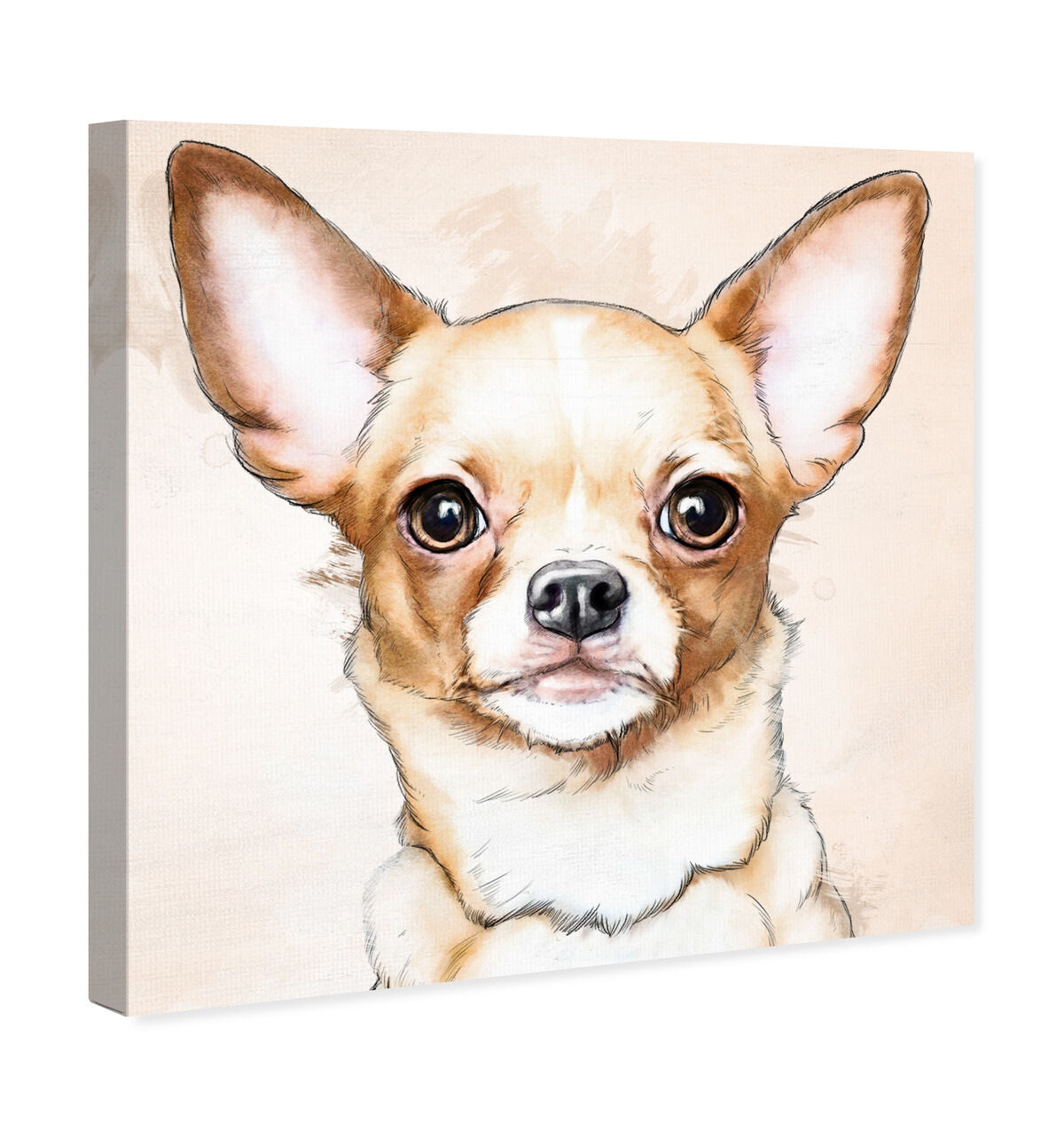 新品 オリバーガル OliverGal ACQUA CHIC CHIHUAHUA Oliver Gal 'acqua chic chihuahua' Animals Wall Art Framed Print 絵画