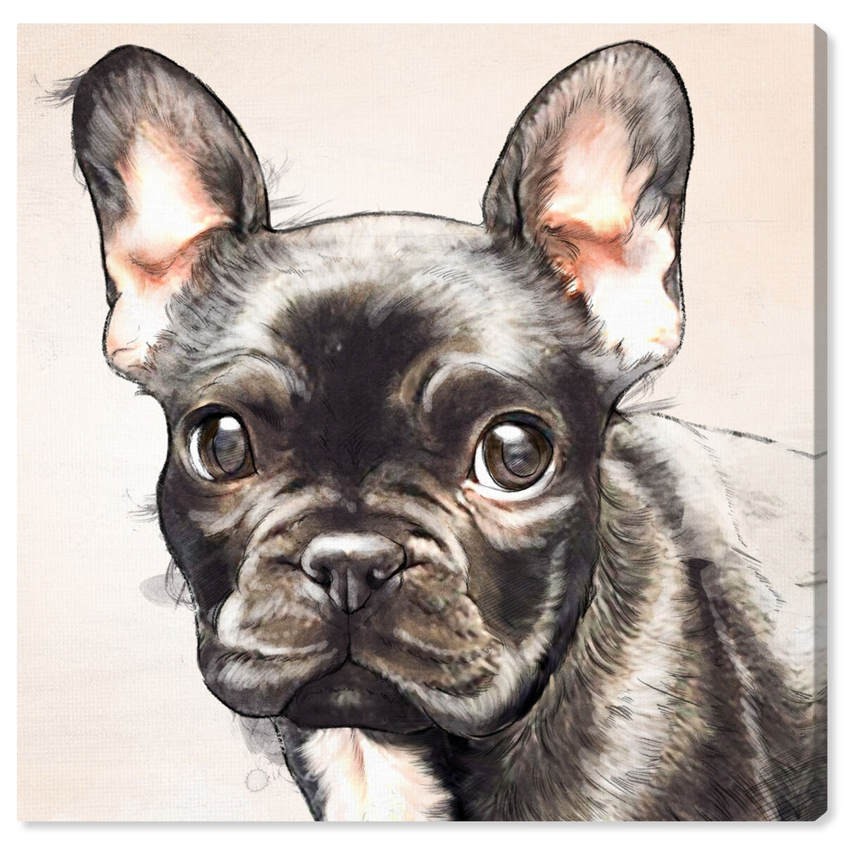 40x40/Canvas/XHD