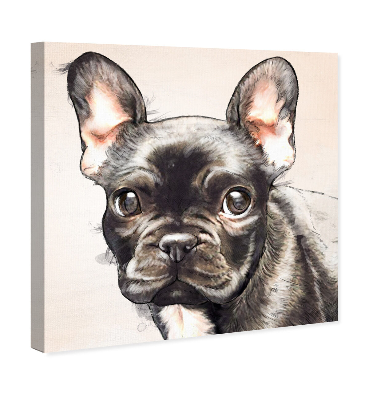 40x40/Canvas/XHD