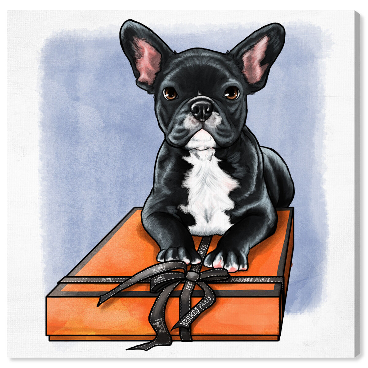 新品 オリバーガル OliverGal Headband Frenchie Treasure Box