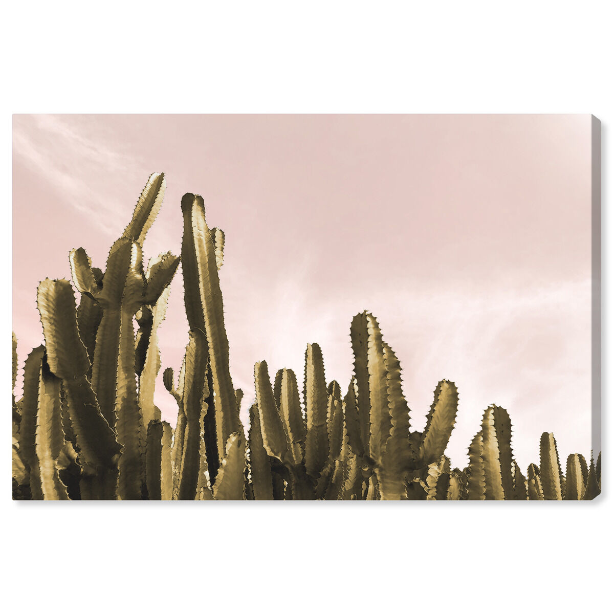54x36/Canvas/XHD
