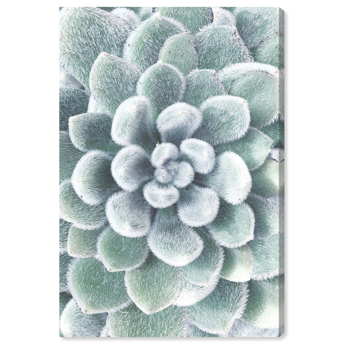 36x54/Canvas/XHD