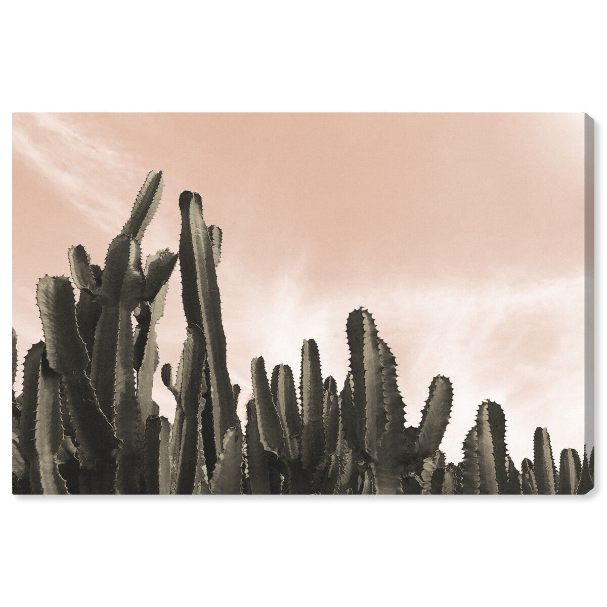 54x36/Canvas/XHD