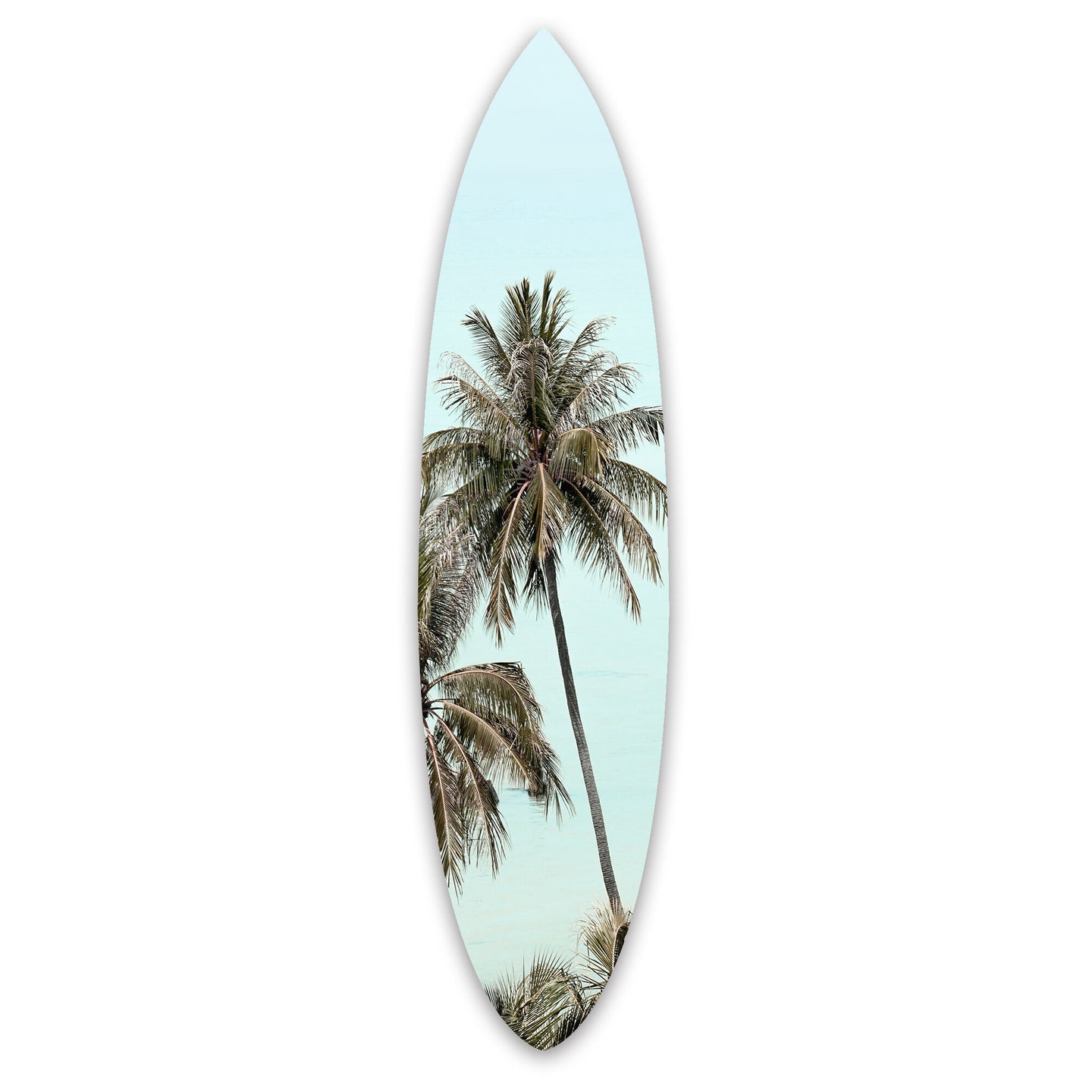Palm Acrylic Surfboard