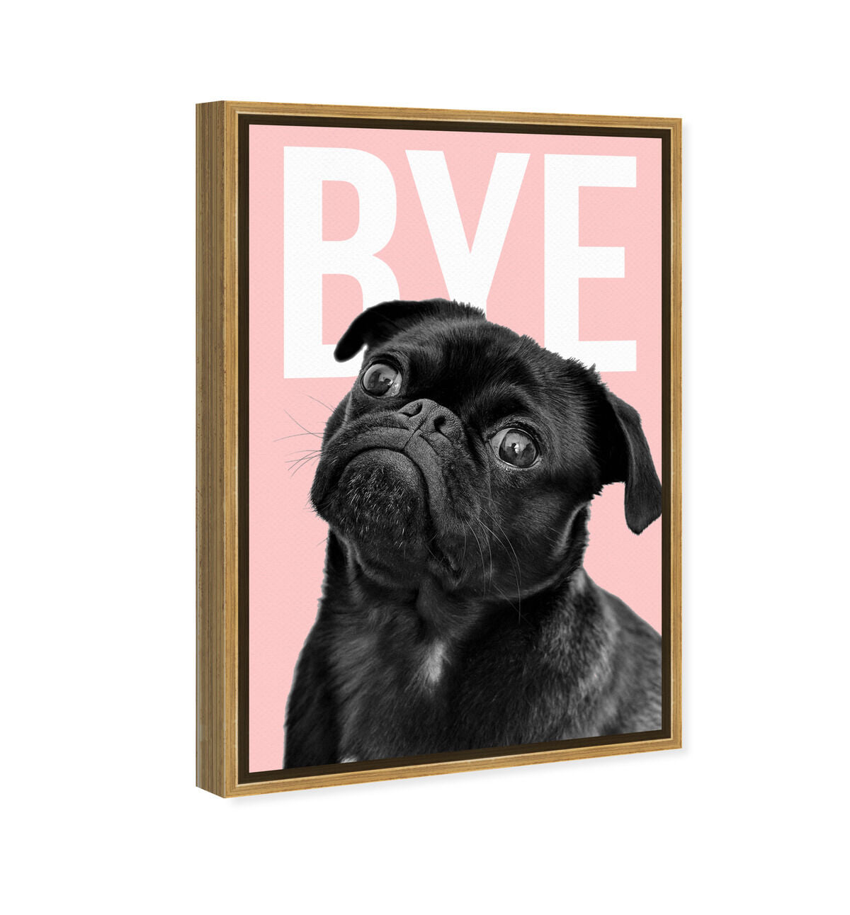 36x54/Framed Canvas/PSGLD