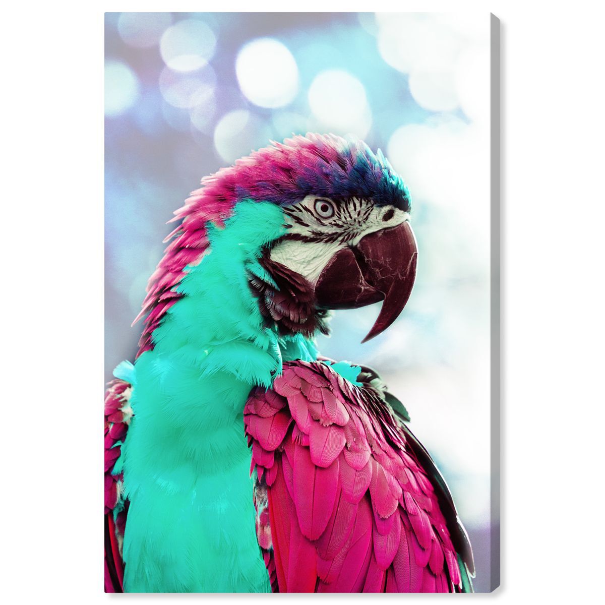 PARROT CANVAS ② PC24112016 PARRO PC CLASSIC ART LOOSE TEE レディース ピンク FREE Macaw Parrot in Pink by Whale & Sons on canvas, poster