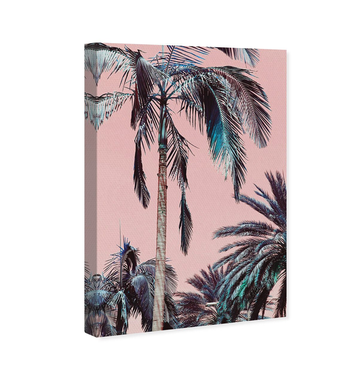 36x54/Canvas/XHD