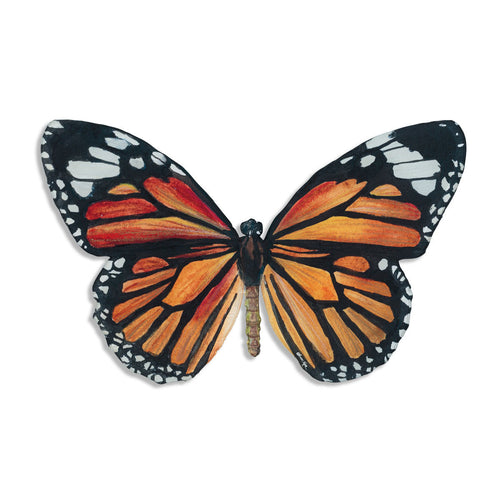 Butterfly Effect