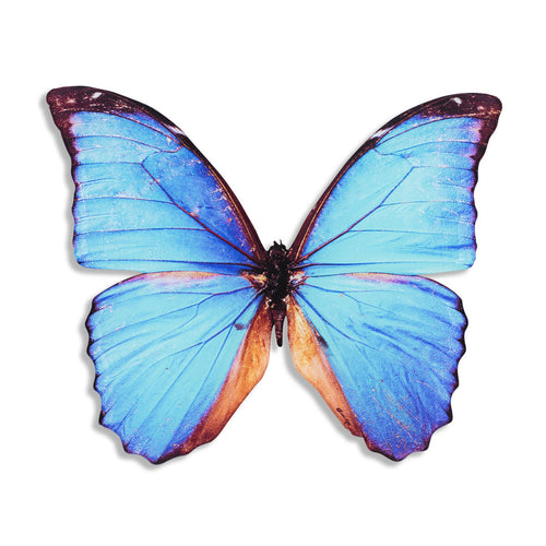 Butterfly Cyan DieCut