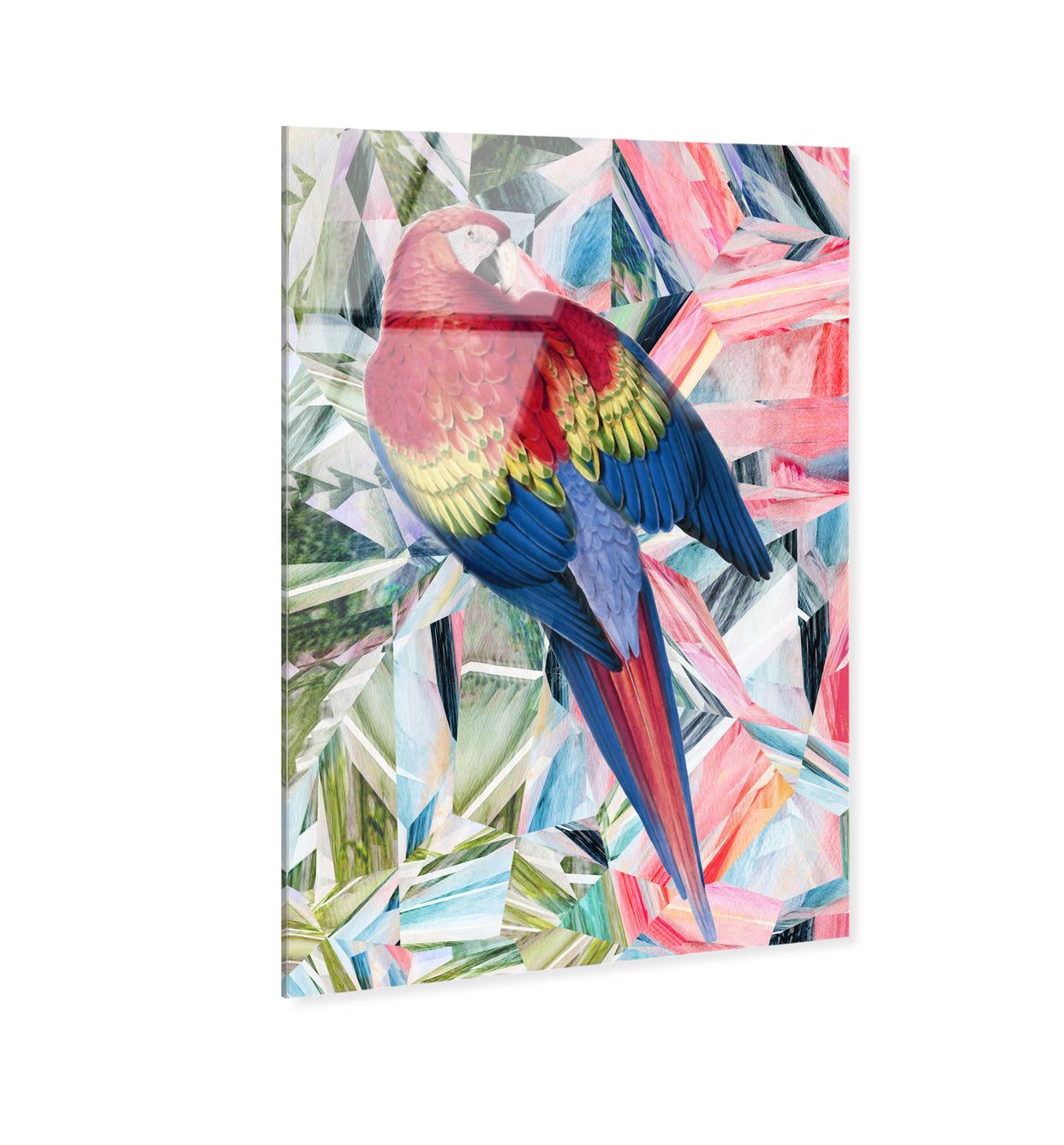 36x54/Acrylic/Unframed