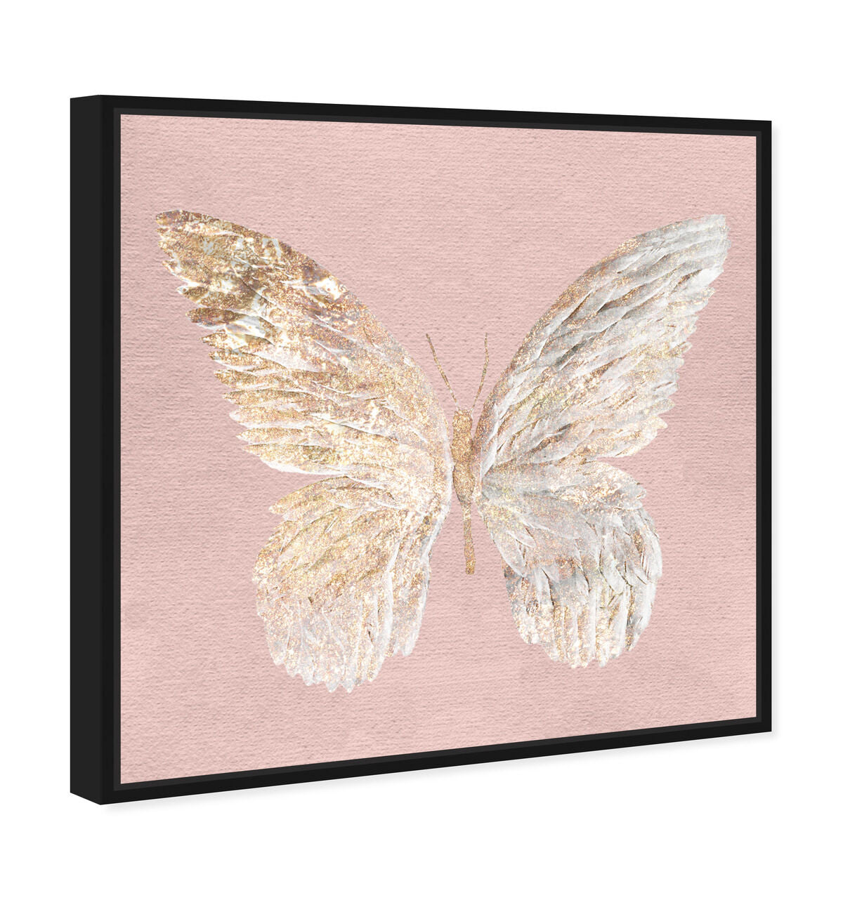 40x40/Framed Canvas/BFL
