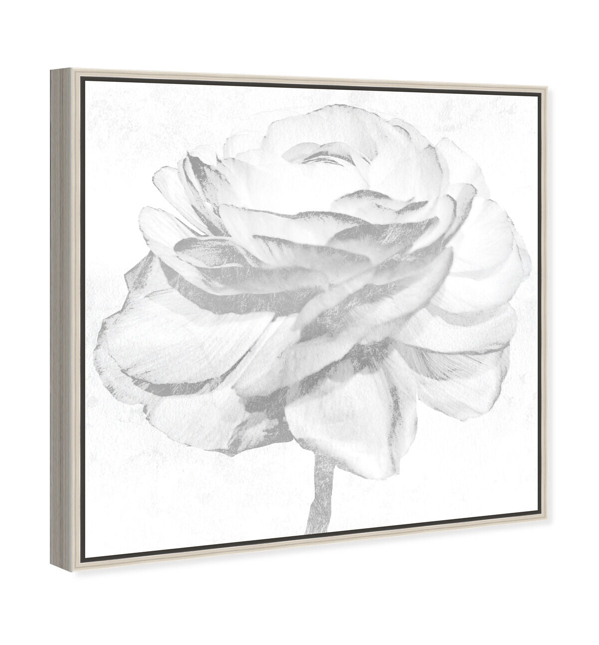 40x40/Framed Canvas/CFL