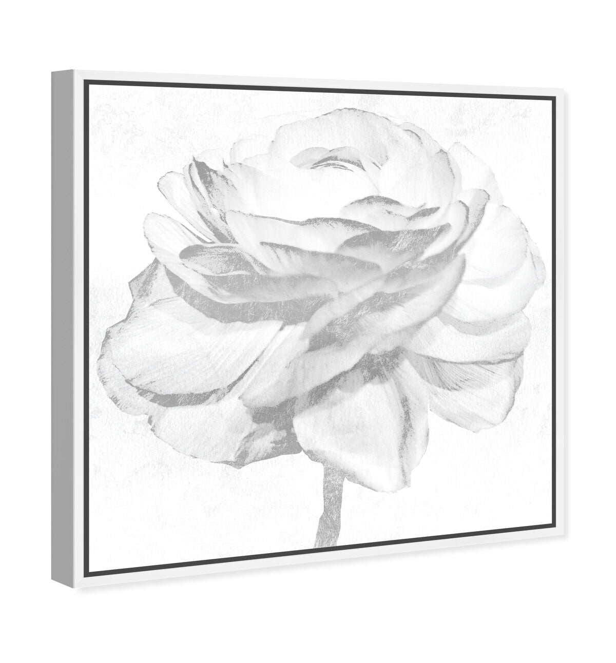 40x40/Framed Canvas/WFL