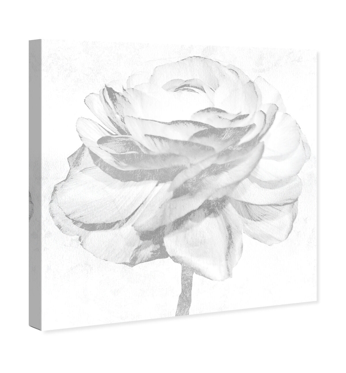 40x40/Canvas/XHD