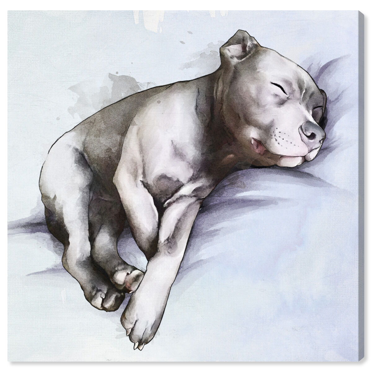 Sleeping Pitbull | Animals Wall Art by Oliver Gal
