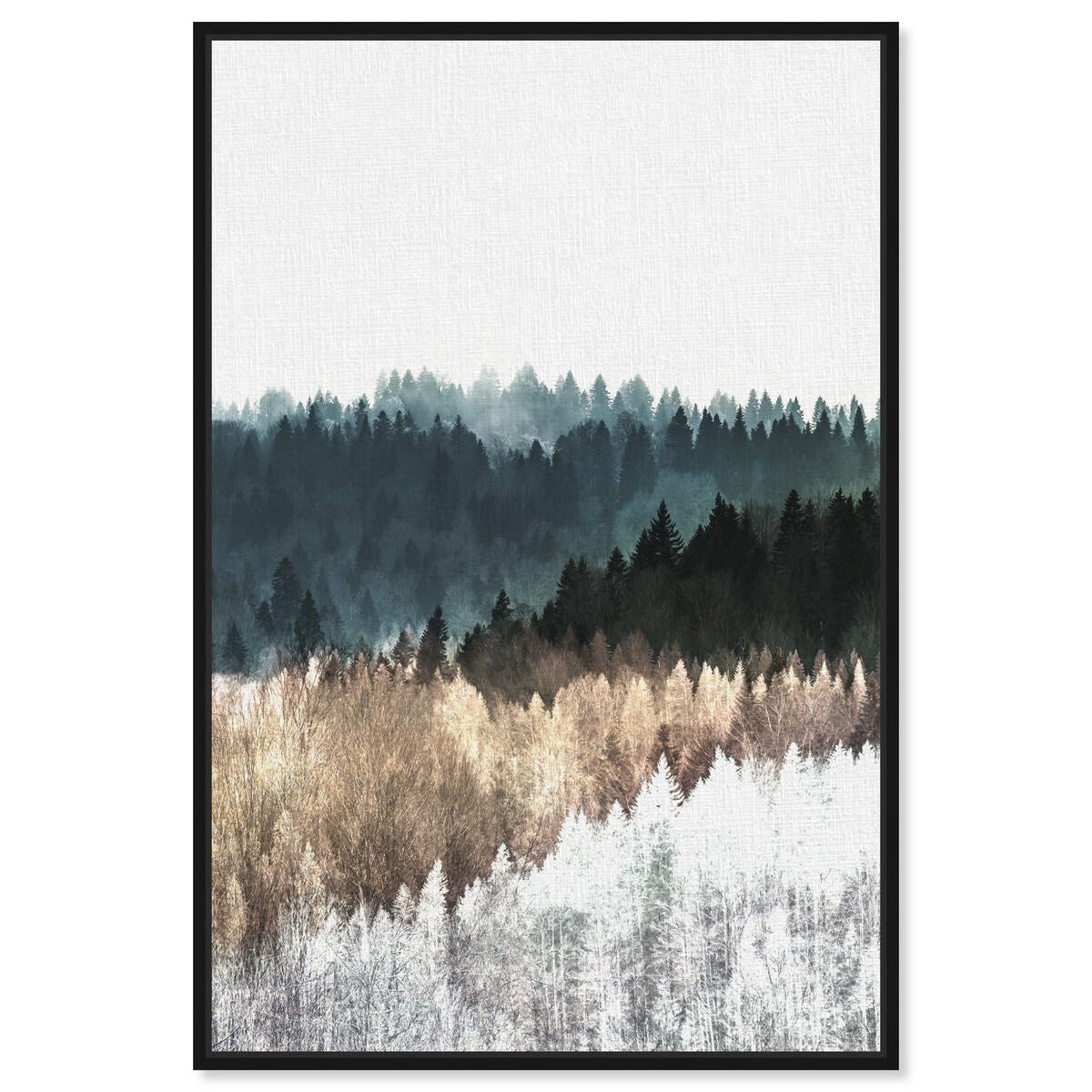 36x54/Canvas/BFL