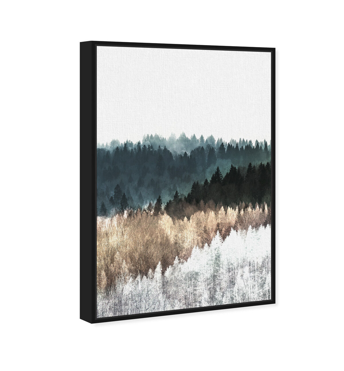 36x54/Canvas/BFL