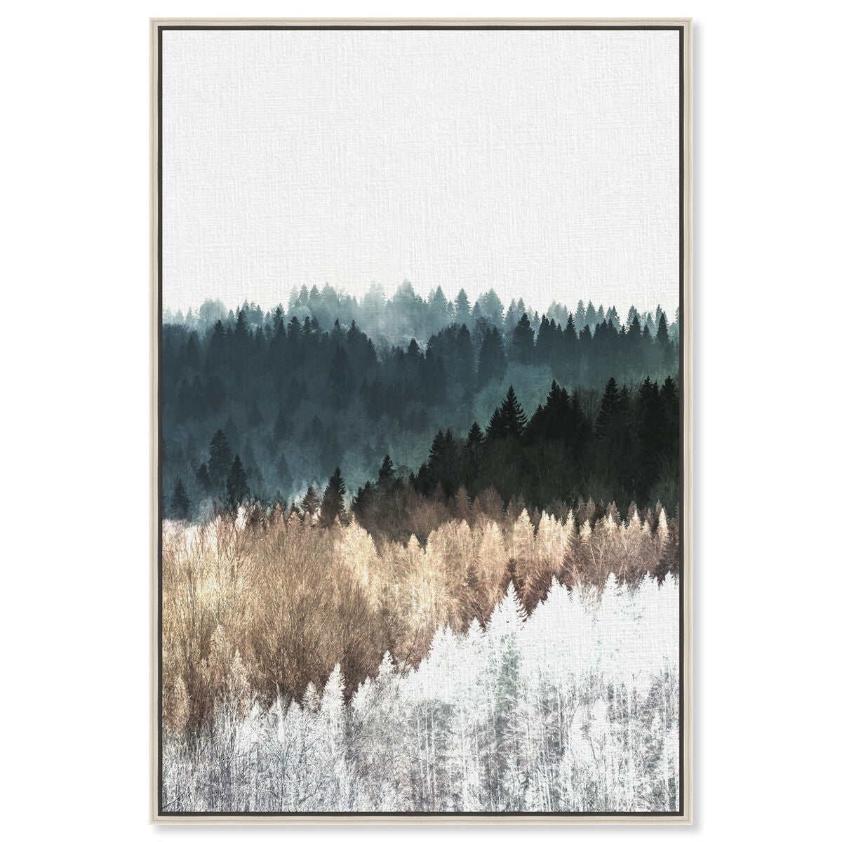 36x54/Canvas/CFL