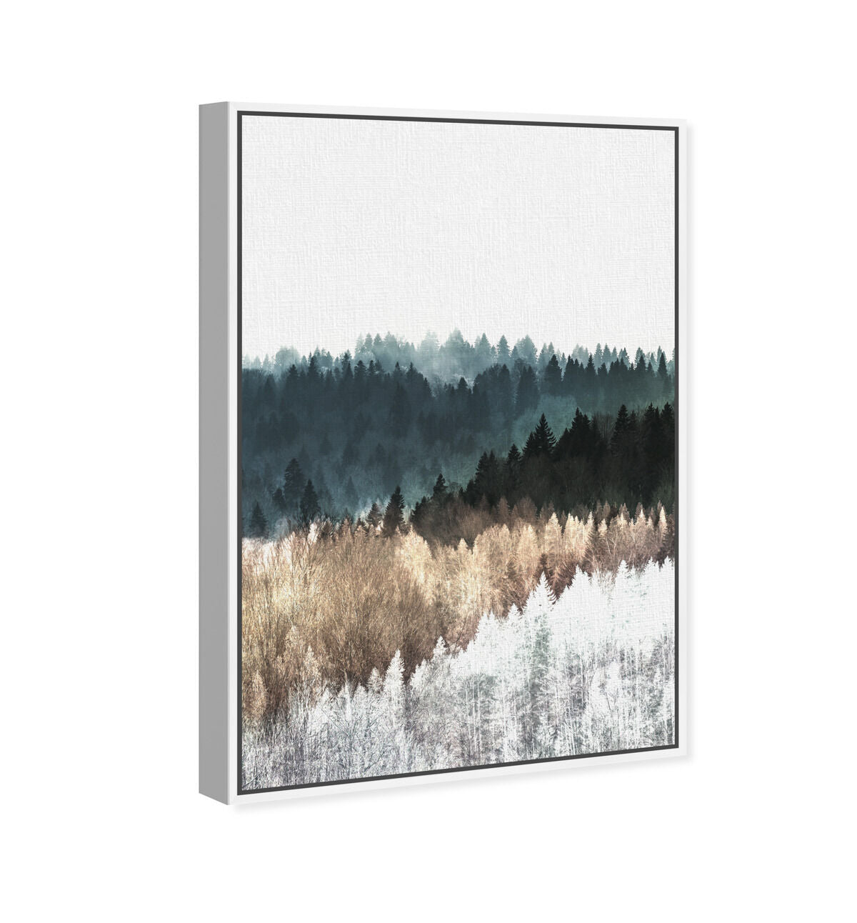 36x54/Canvas/WFL