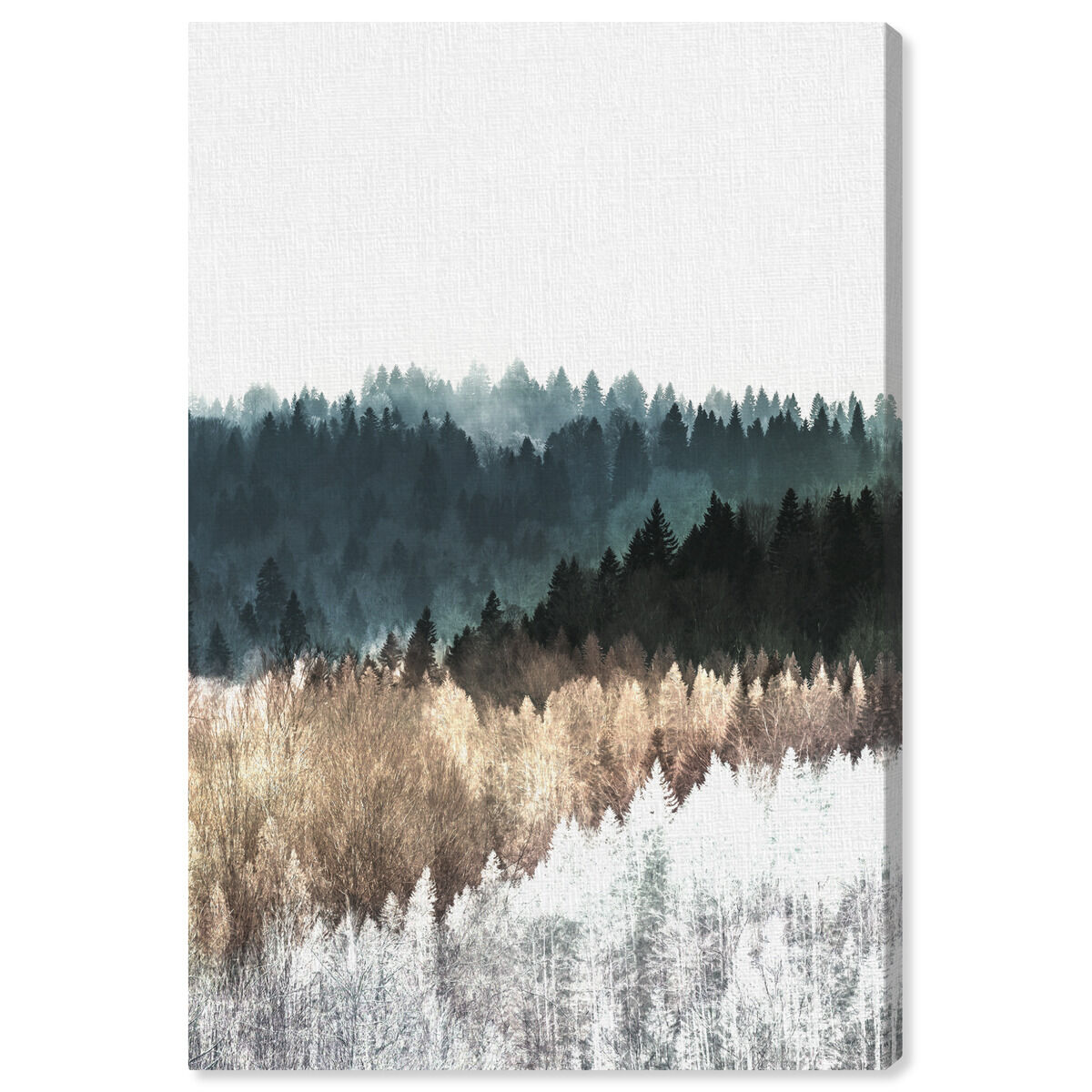 36x54/Canvas/XHD