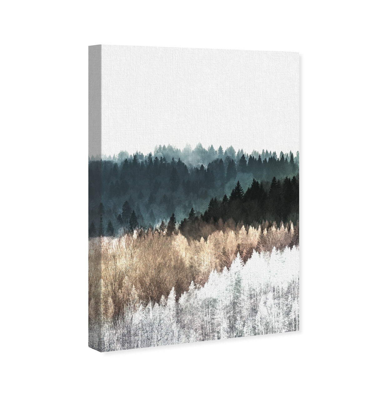 36x54/Canvas/XHD