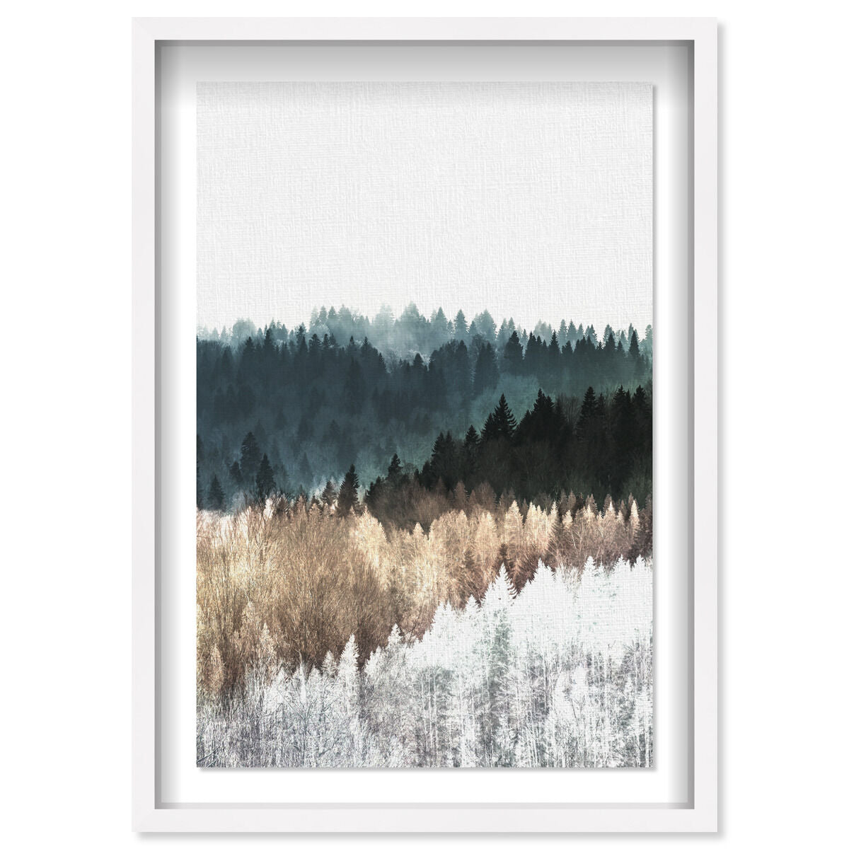 36x54/Shadowbox/SBW