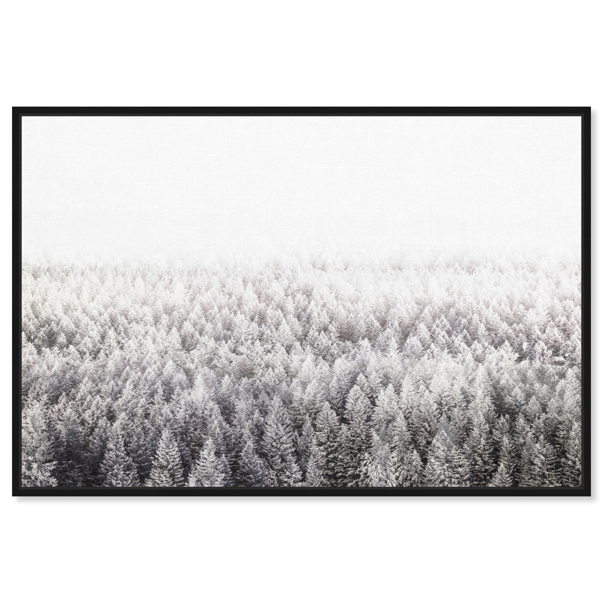 54x36/Framed Canvas/BFL