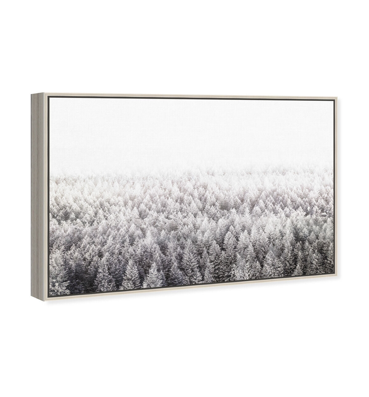 54x36/Framed Canvas/CFL