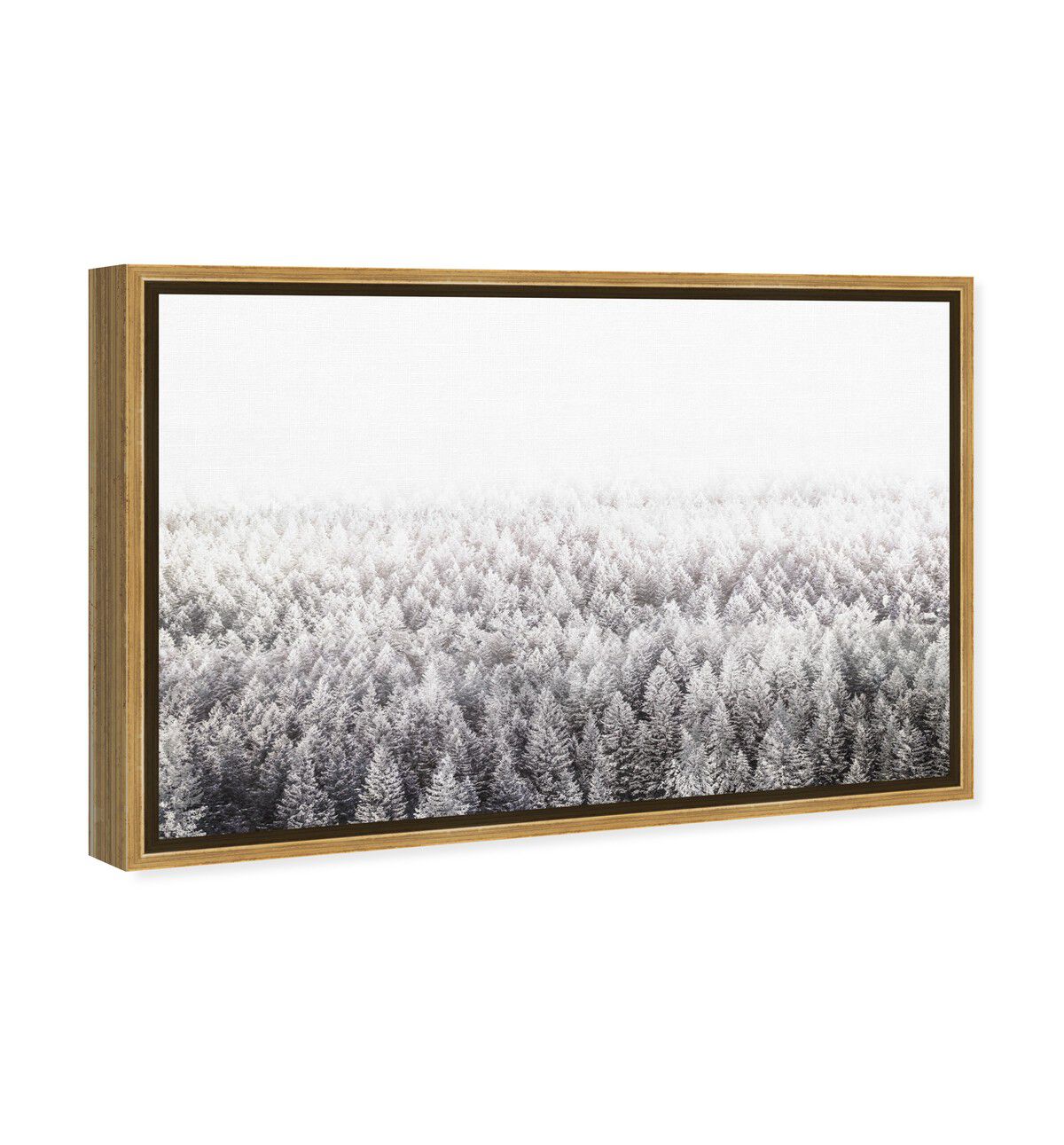 54x36/Framed Canvas/PSGLD