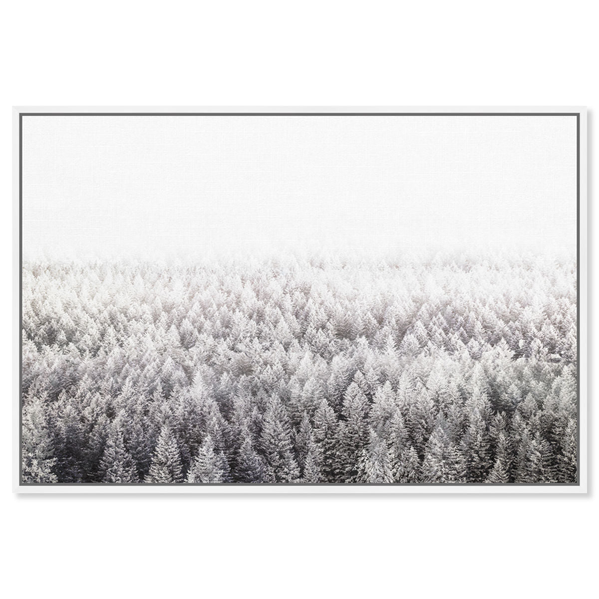 54x36/Framed Canvas/WFL