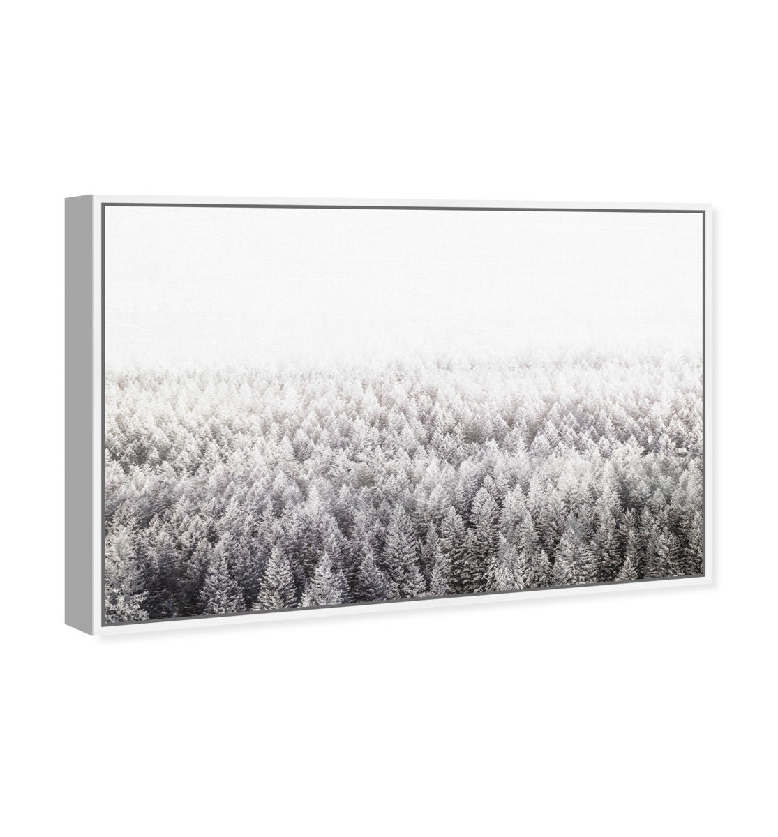 54x36/Framed Canvas/WFL