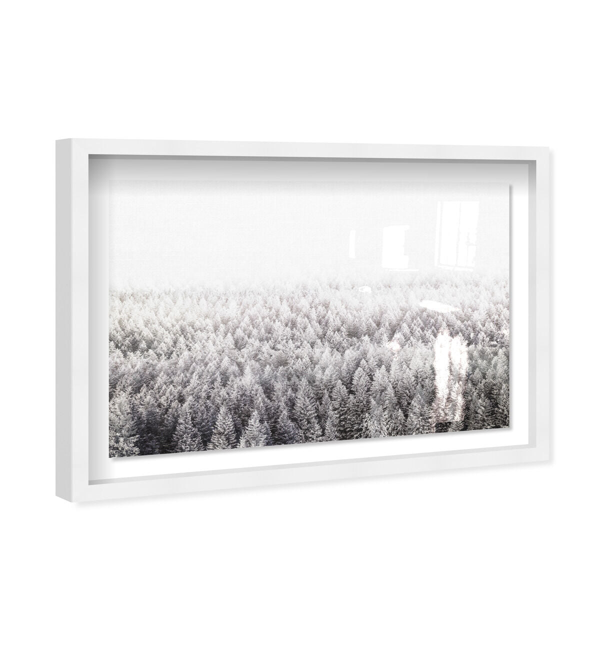 54x36/Shadowbox/SBW