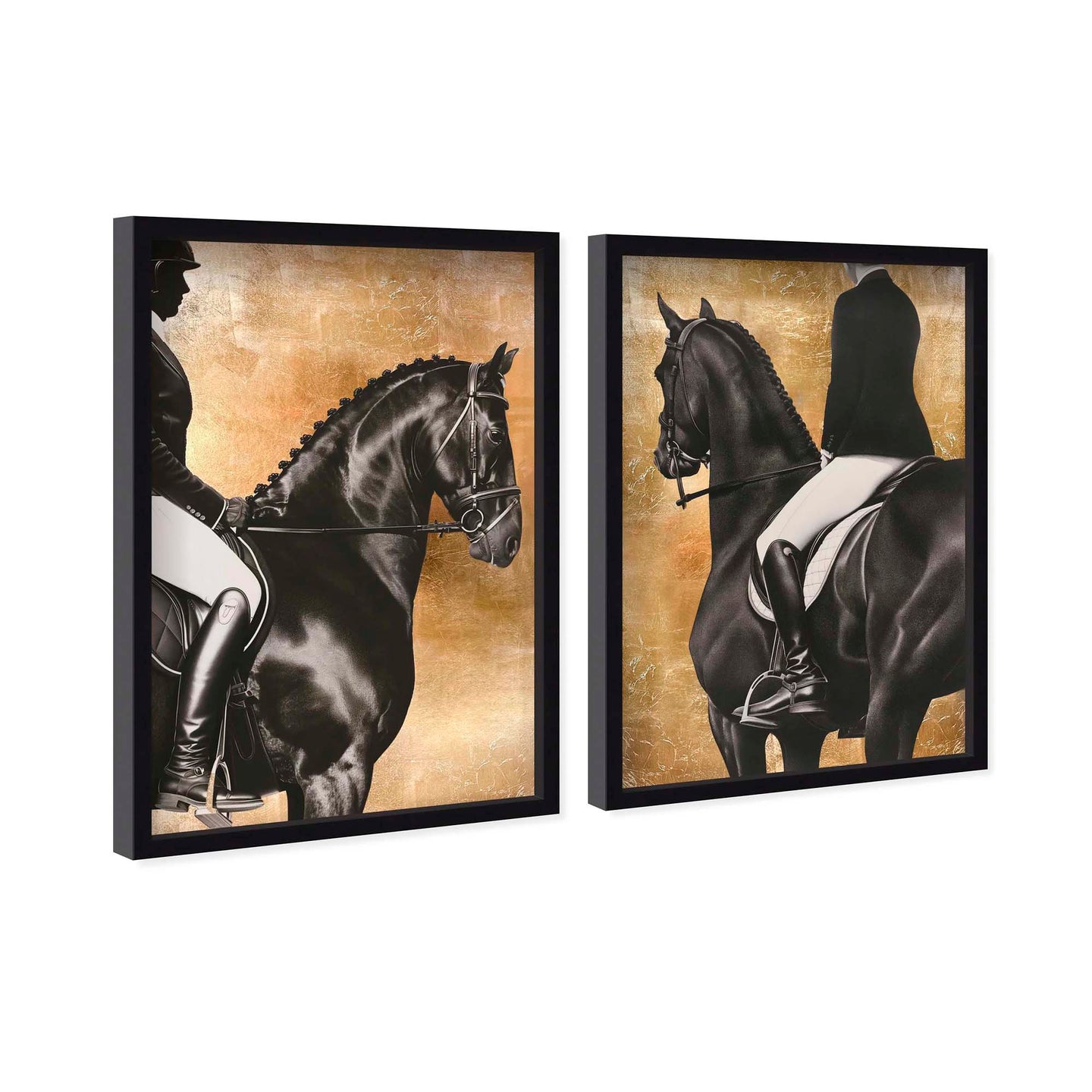 Taming the Rhythm Gold Set