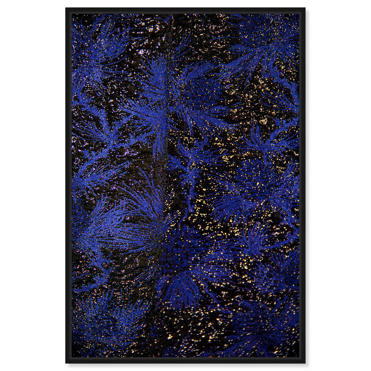 36x54/Canvas/BFL