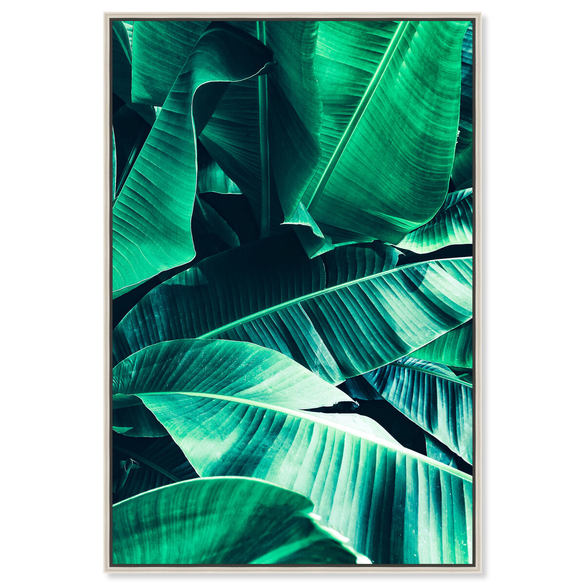 36x54/Framed Canvas/CFL