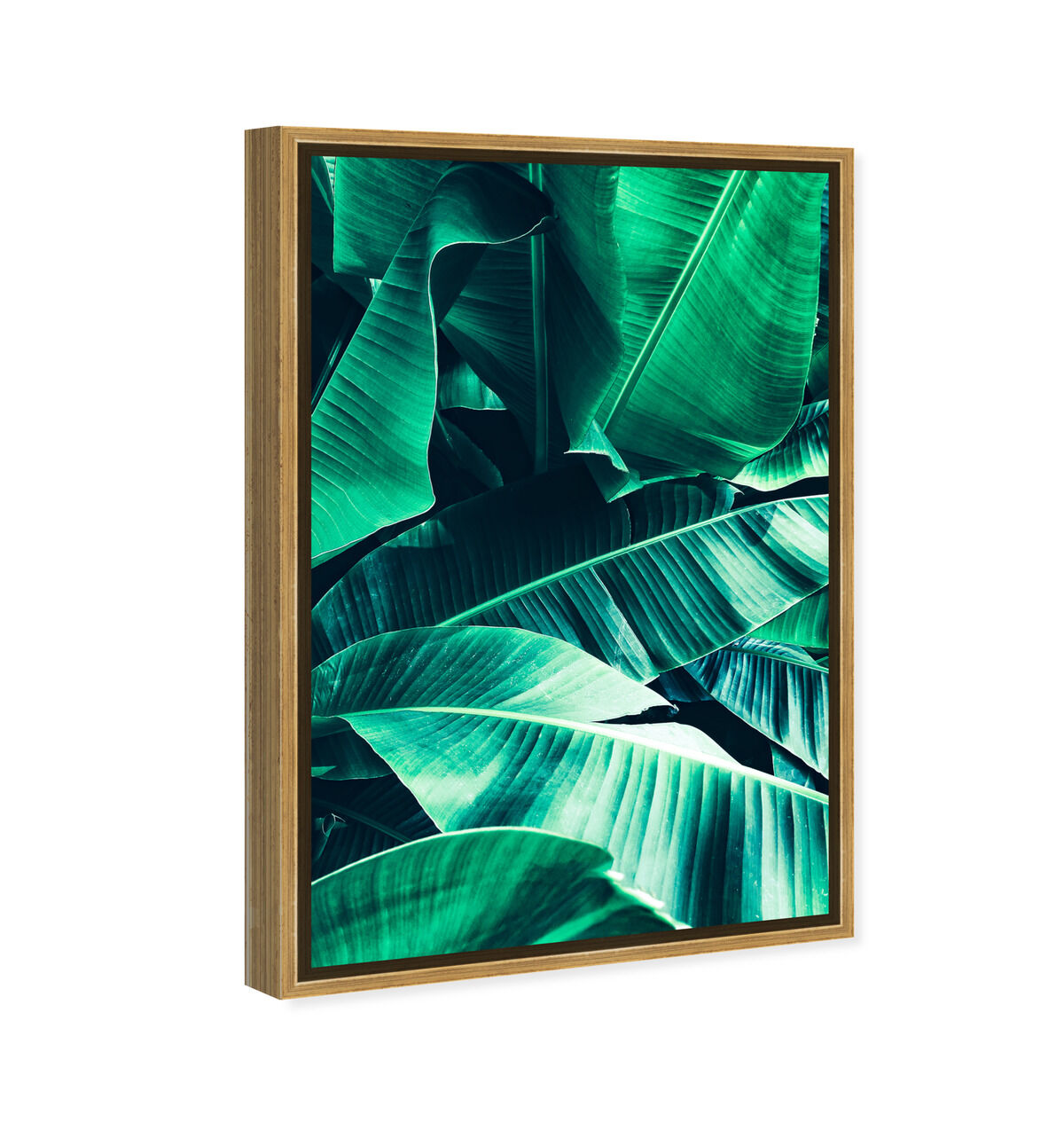 36x54/Framed Canvas/PSGLD