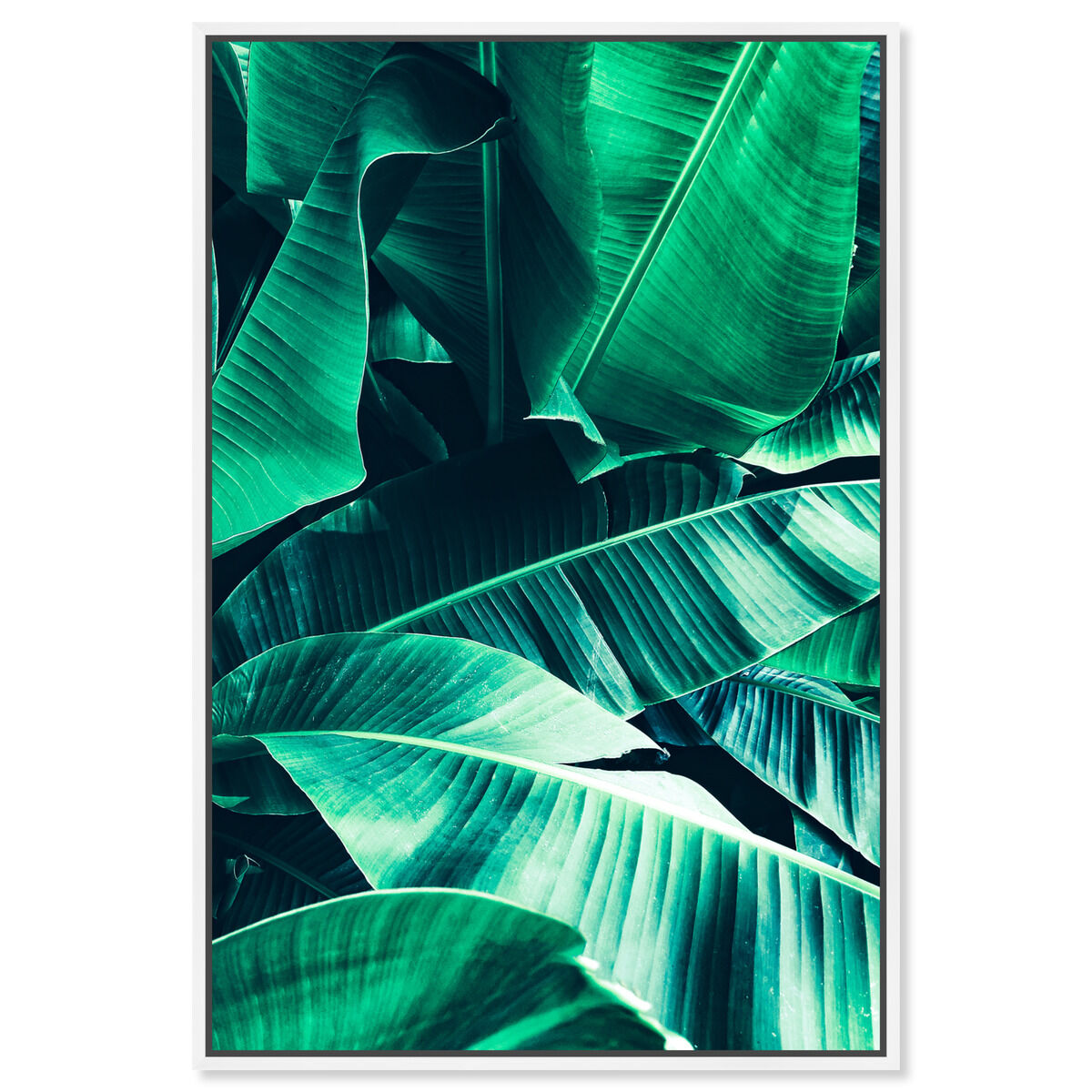 36x54/Framed Canvas/WFL