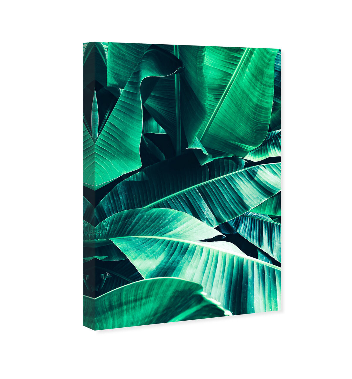 36x54/Canvas/XHD