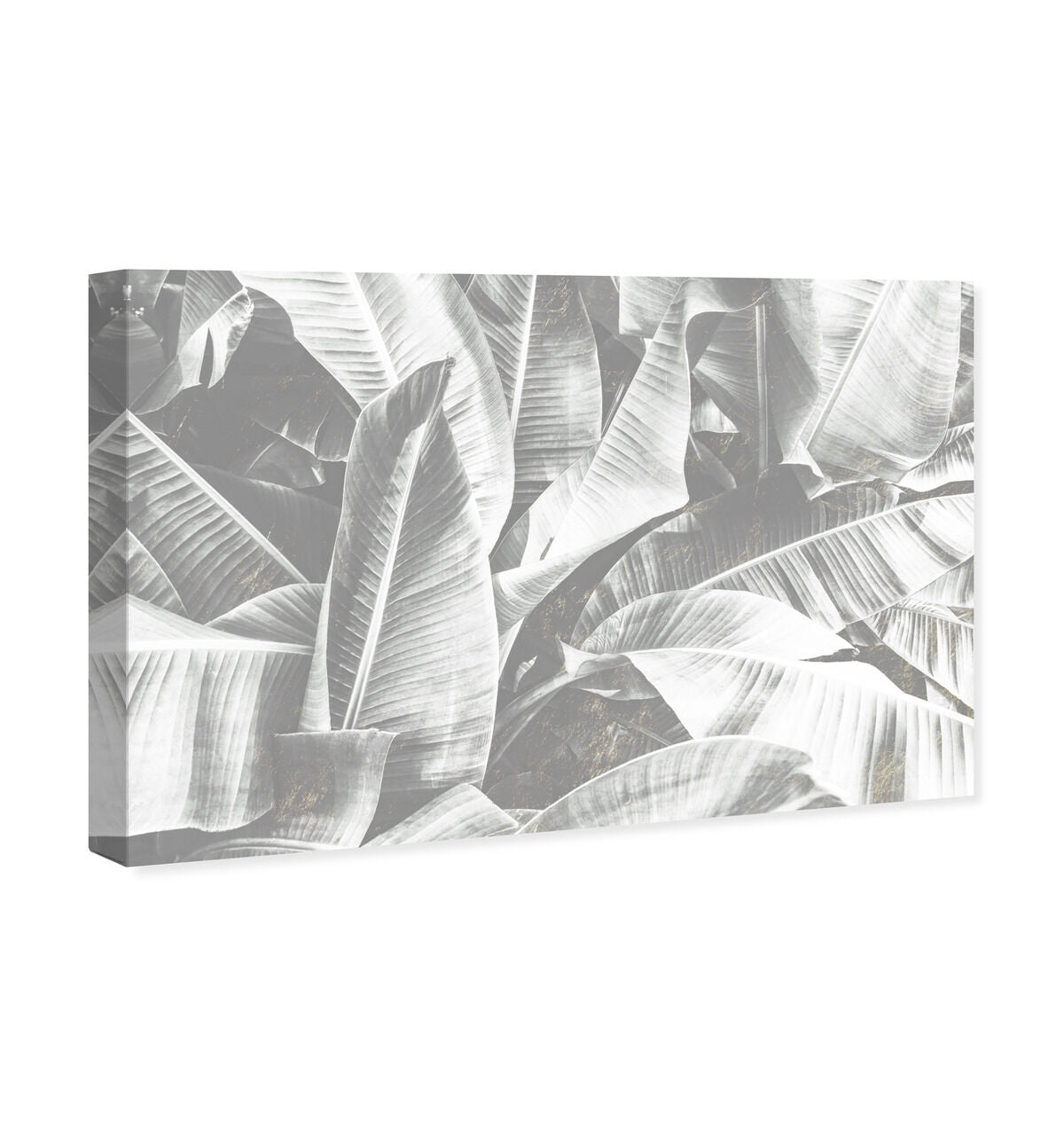 54x36/Canvas/XHD