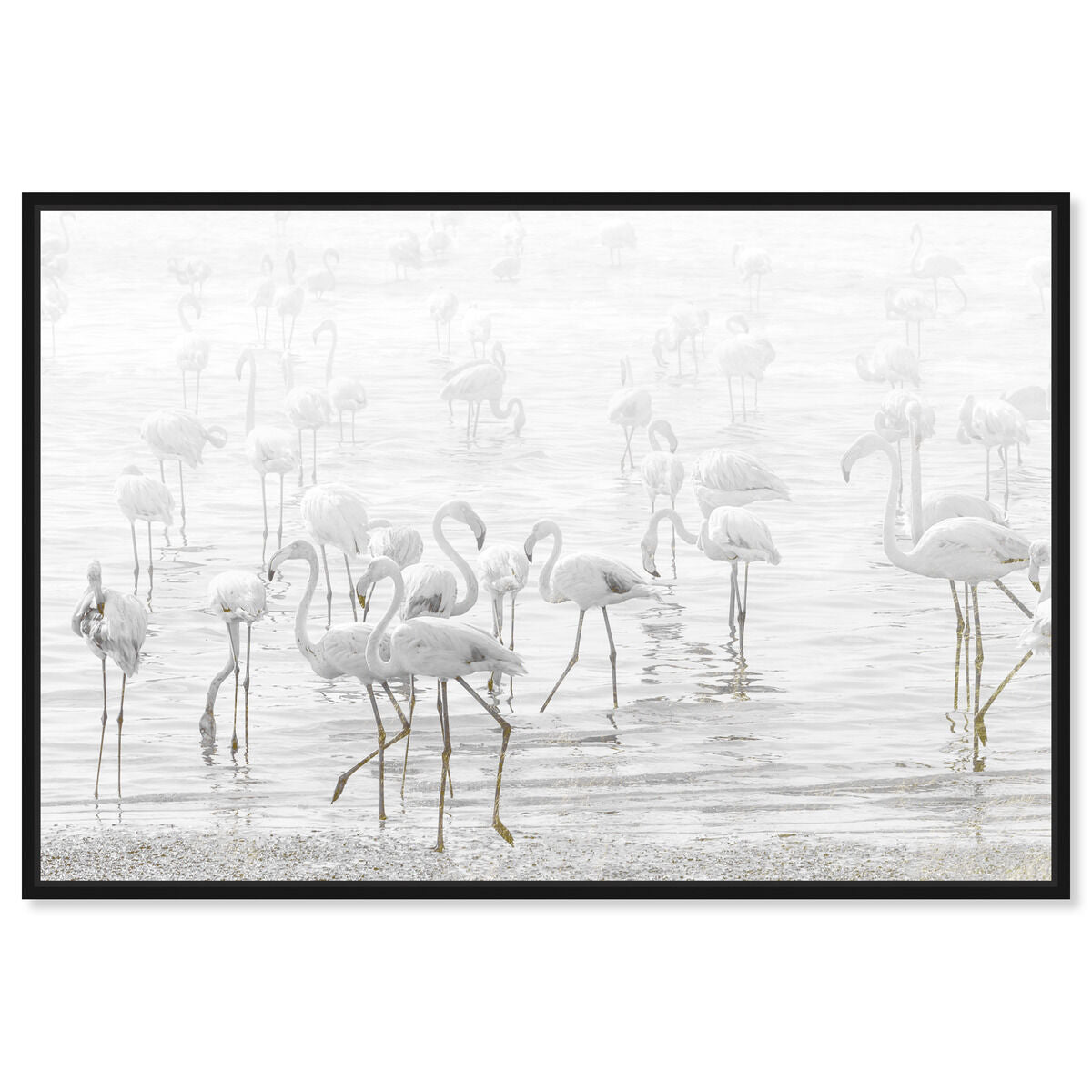 54x36/Framed Canvas/BFL