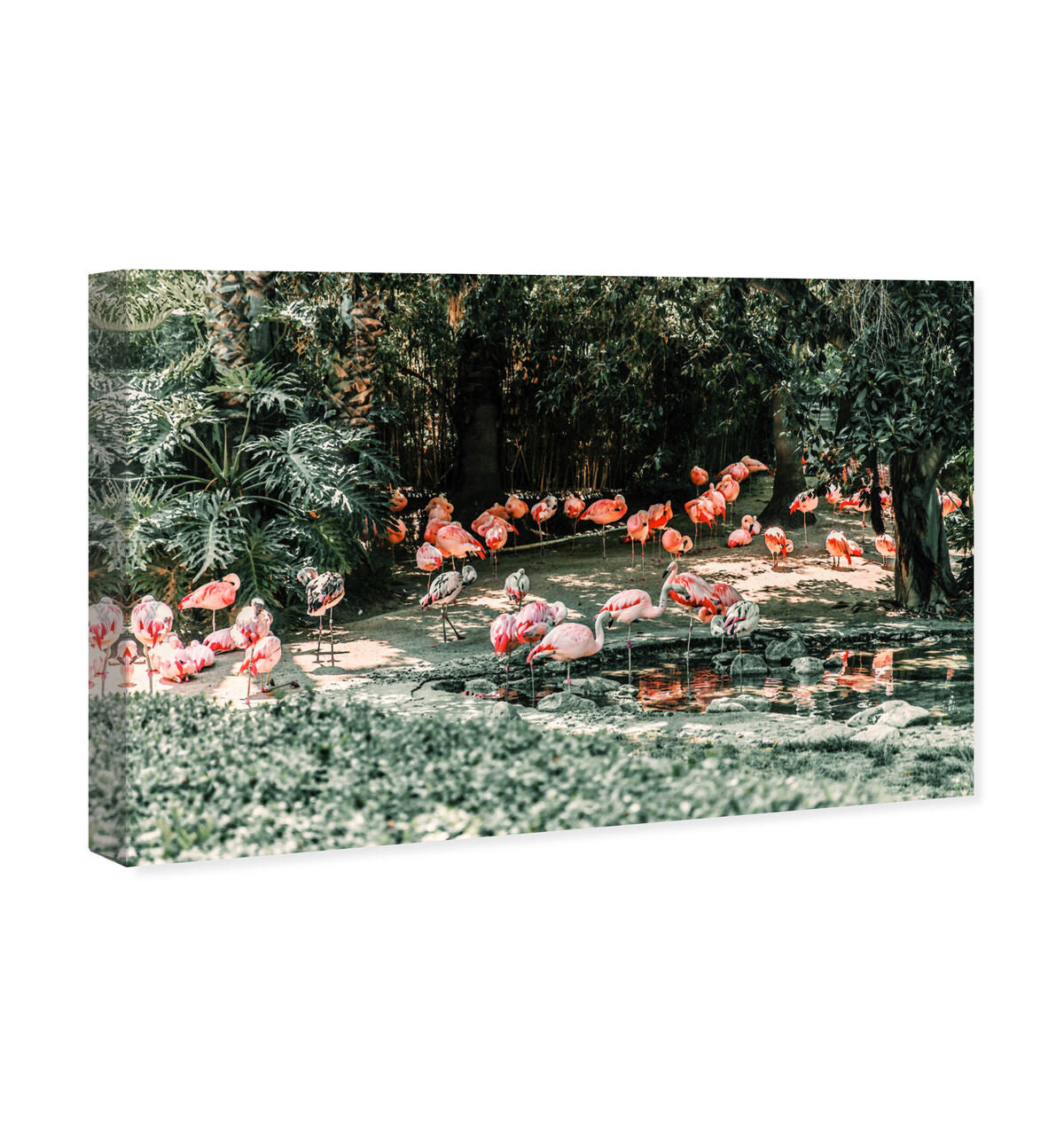 54x36/Canvas/XHD