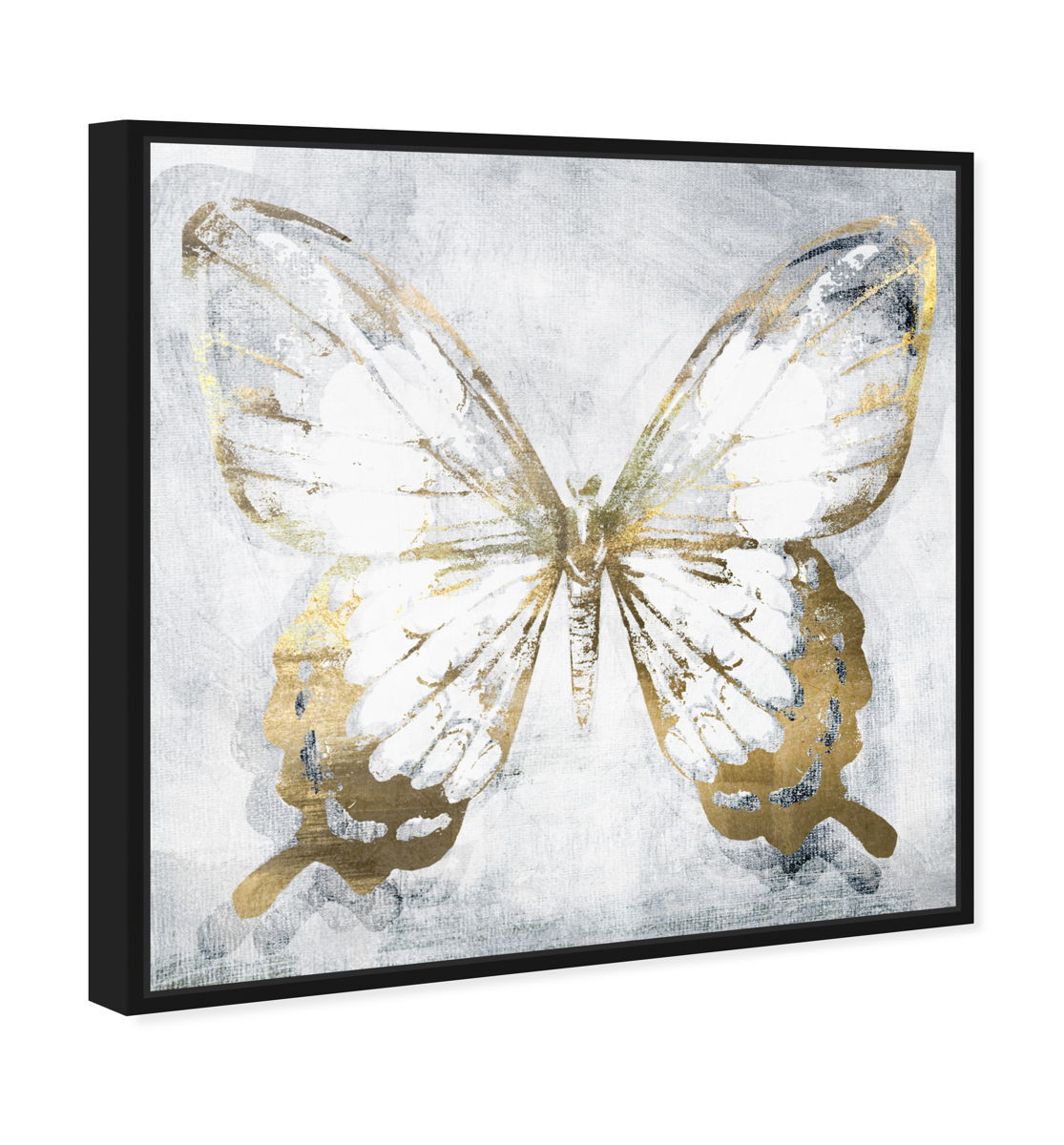 40x40/Canvas/BFL
