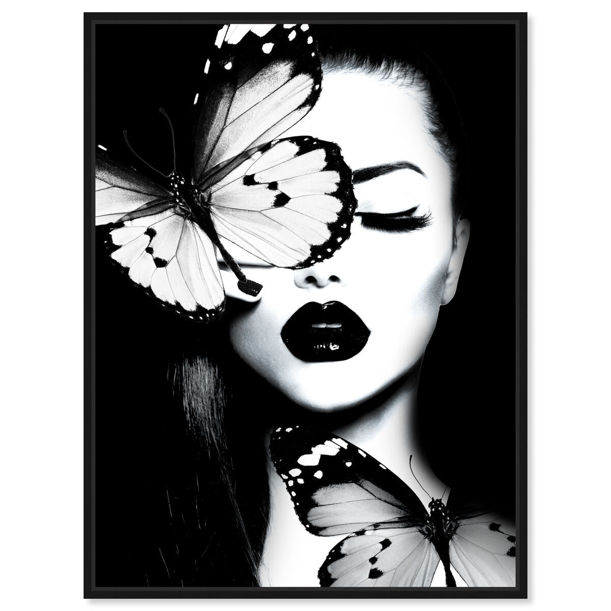 Dutchess of The Butterflies