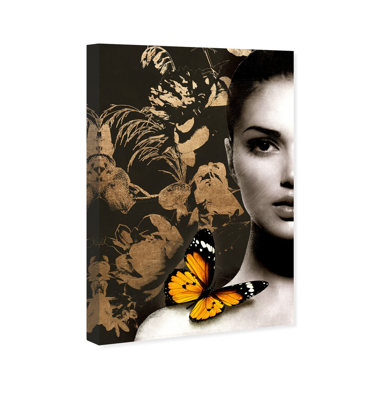 36x54/Canvas/XHD