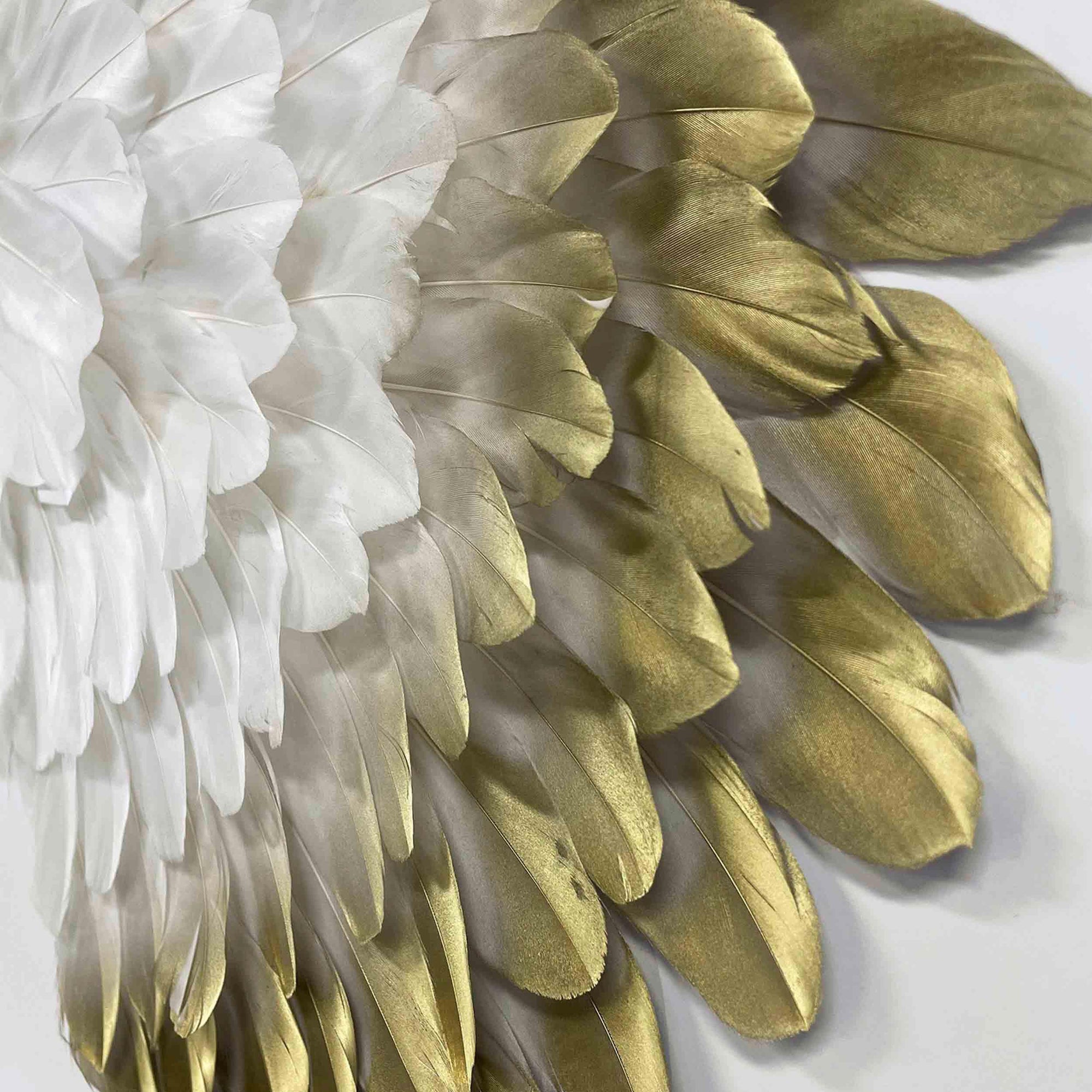 White and Gold Feather Wings